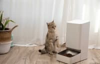 Avtomatik yemqabı Xiaomi Smart Pet Food Feeder — şəkil 2