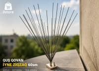 Quşqovan tikanlı ziqzaq 60 sm — şəkil 1