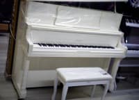 Akustik piano — şəkil 11