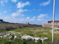 6 sot torpaq sahəsi satılır — şəkil 1