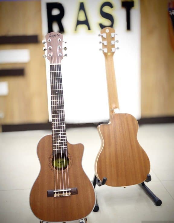 Ukulele Tayste TUG-20C