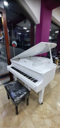Elektron piano Allegro Royal — şəkil 1