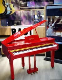 Elektron piano Royal Allegro RK-333 — şəkil 19