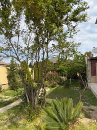 5 otaqlı həyət evi 250 m² satılır   — şəkil 15