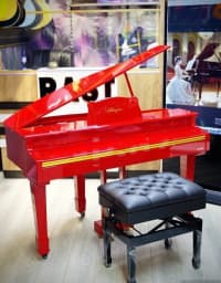 Elektron piano Royal Allegro RK-333 — şəkil 20