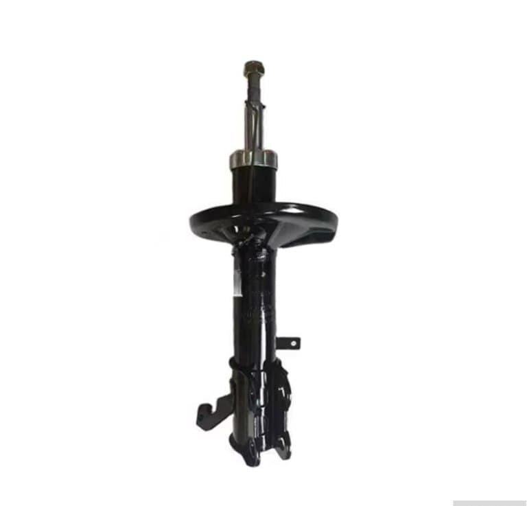 Arxa amortizator sol BYD Qin Plus 1.5L