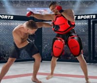 Peşəkar Bədən Qoruyucu Lapa (Boks və MMA üçün) — şəkil 1