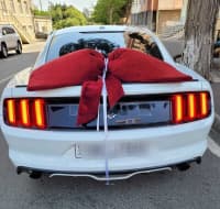 Avtomobil kirayəsi Ford Mustang 2018 — şəkil 10