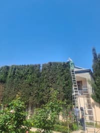 — şəkil 4