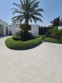 — şəkil 9