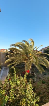 10 otaqlı həyət evi 800 m² satılır — şəkil 12