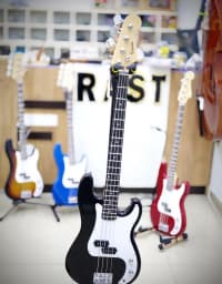 Bass gitara, 4 simli — şəkil 4