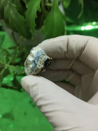 UV işığında narıncı parlayan təbii mineral nümunəsi — şəkil 7
