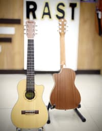 Ukulele Tayste TUG-20C — şəkil 2