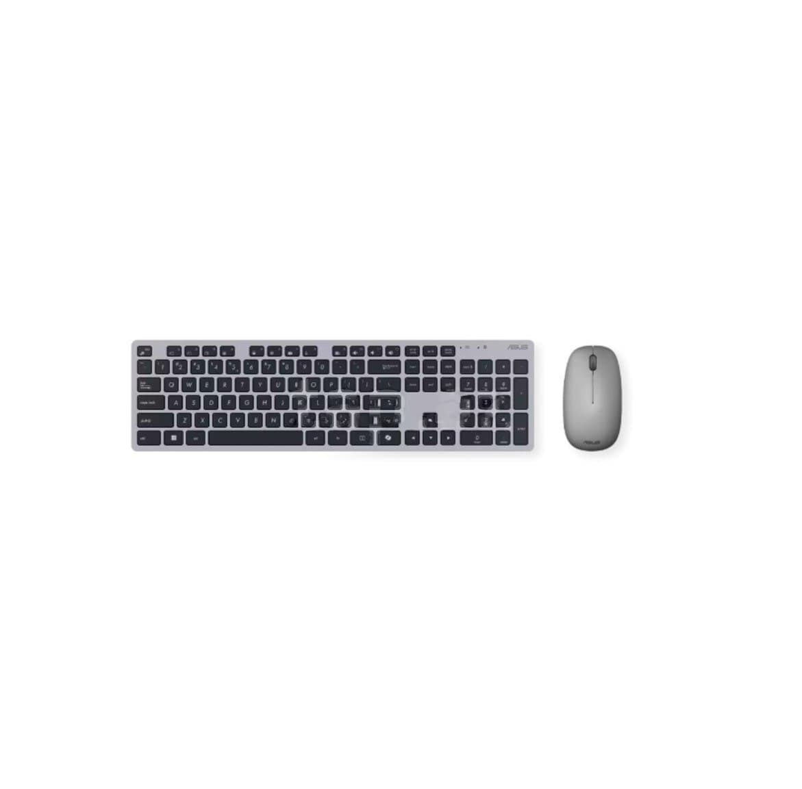 Klaviatura və mouse dəsti ASUS W5000 Grey simsiz
