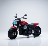 Uşaq elektromotosikleti Harley Davidson ZTN SF6688 — şəkil 11