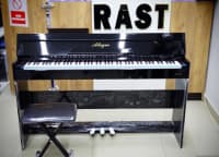 Elektro piano Allegro 8818 ağ — şəkil 26