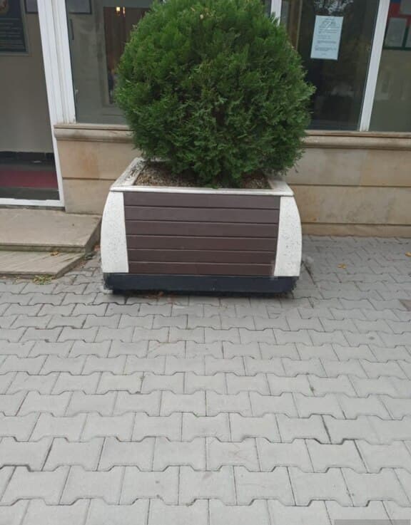 Skamya Qəhvəyi rəng