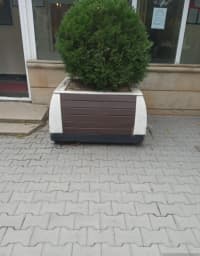 Skamya Qəhvəyi rəng — şəkil 1