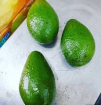 Avokado Hass və digər növlər — şəkil 6