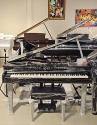 Rəqəmsal piano Kawai DG30 — şəkil 2