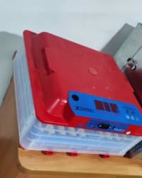 Professional Avtomat İnkubatorlar (Müxtəlif tutumlu) — şəkil 3