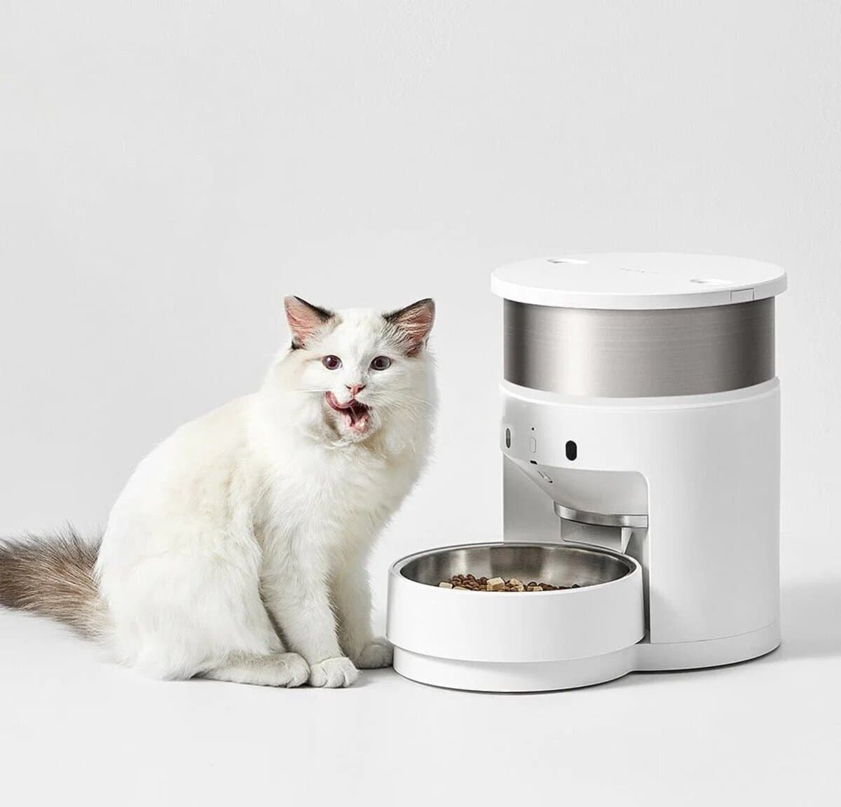 Petkit Fresh Element 3 P560 Ağıllı Yemləmə Cihazı