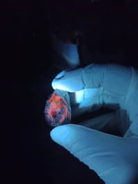 UV işığında narıncı parlayan təbii mineral nümunəsi — şəkil 3