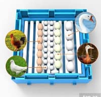 Expert Avtomatik İnkubator Modelləri — şəkil 11