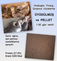  — şəkil 2