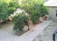 6 sot torpaq sahəsi satılır — şəkil 5