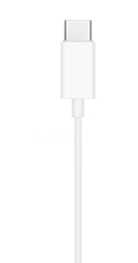 Apple qulaqlıq — şəkil 2