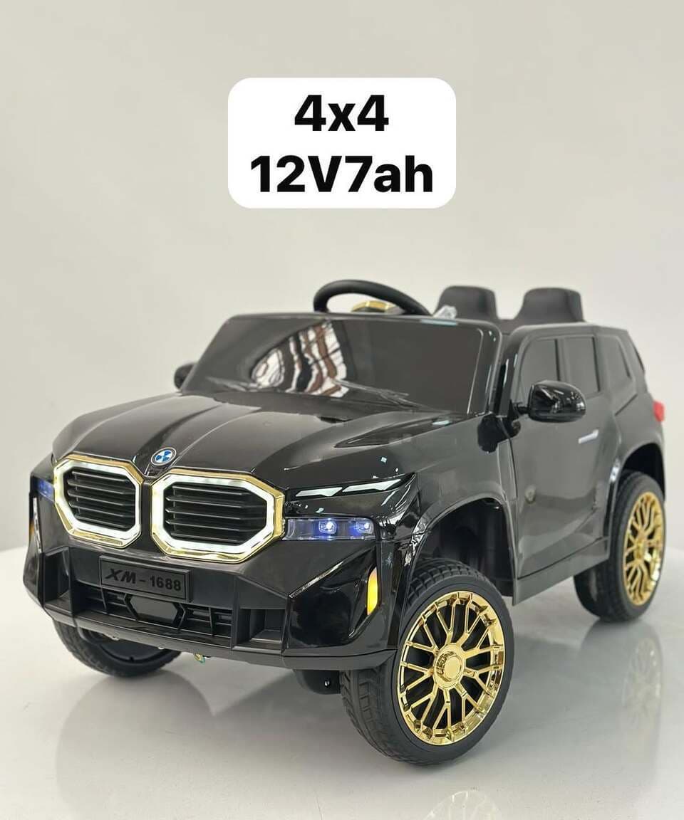Uşaq elektromobili BMW XM 1688