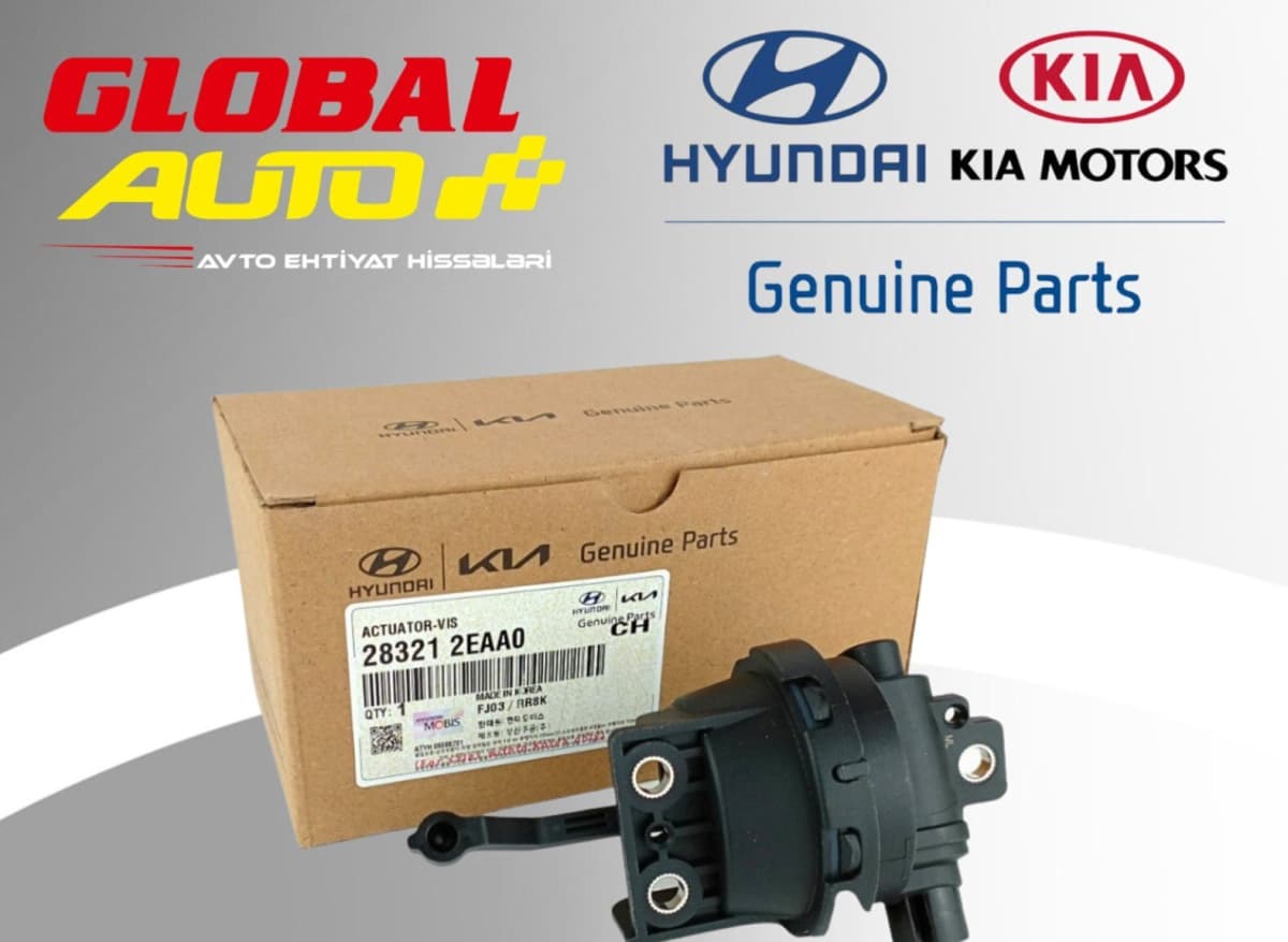 Qəbul kollektoru qapağının intiqalı Hyundai Kia