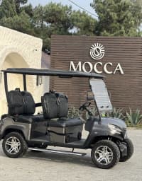 Qolf karı Golfcar 2025 il — şəkil 8