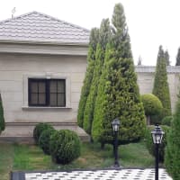 — şəkil 7