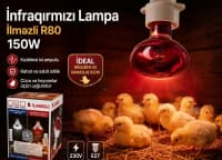 İnfraqırmızı lampa İlməzli R80 150W — şəkil 1