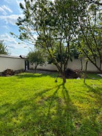300 m² Yaxşı təmirli obyekt kirayə verilir — şəkil 9