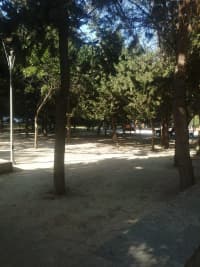 2 otaqlı mənzil 50 m² kirayə verilir — şəkil 4