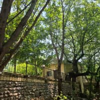 3 otaqlı həyət evi 70 m² günlük kirayə verilir — şəkil 13
