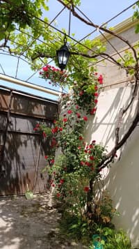 6 otaqlı həyət evi 190 m² satılır — şəkil 16