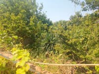 4 otaqlı həyət evi 200 m² satılır — şəkil 14