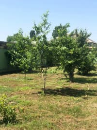 7 otaqlı villa 250 m² - satılır — şəkil 15