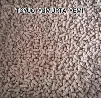 Kənd təsərrüfatı heyvanları üçün proteinli yemlər — şəkil 3