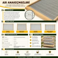 Arı pətəyi üçün ana arı keçməz — şəkil 3
