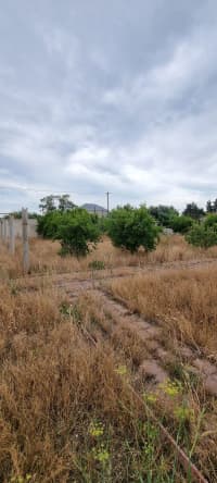 8.5 sot torpaq sahəsi satılır — şəkil 4