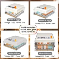 64 yumurtalıq avtomatik inkubator — şəkil 3