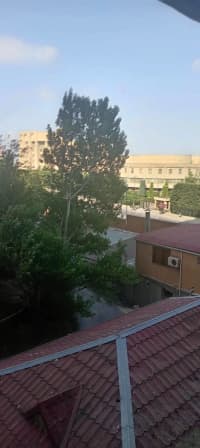 204 m² Təmirsiz obyekt satılır — şəkil 13