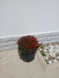 4 otaqlı həyət evi 127 m² satılır — şəkil 9