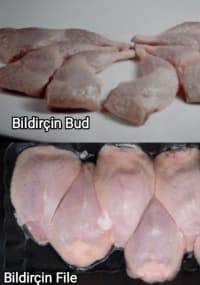 Kabablıq Bildirçin — şəkil 7